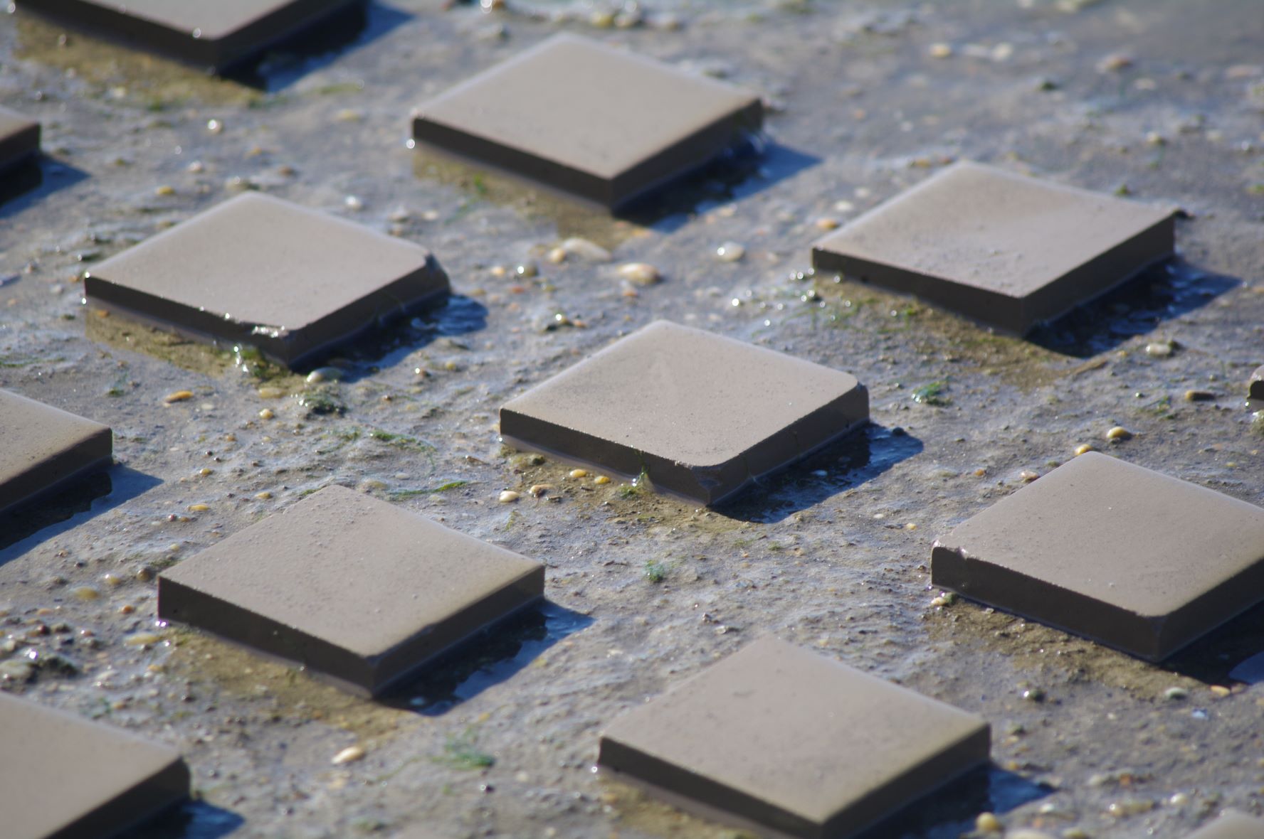 Carreaux Gwilen en sédiment marin — détail des formats et des teintes minérales